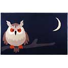 夜空のフクロウマットフォト